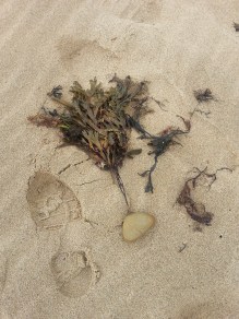 cape Breton 20141012_103830